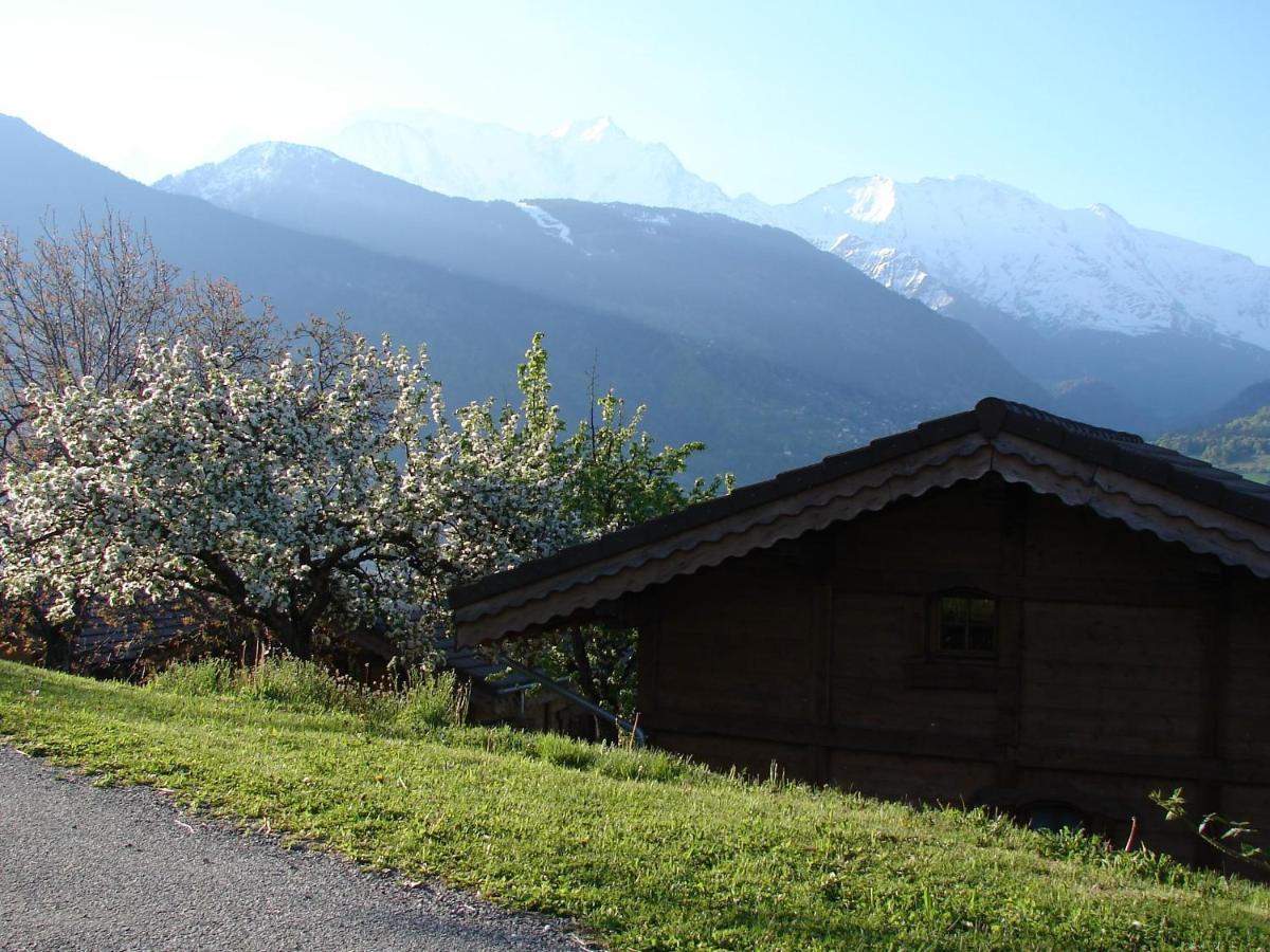 Вілла Les Greniers Du Mont Blanc Пассі Екстер'єр фото